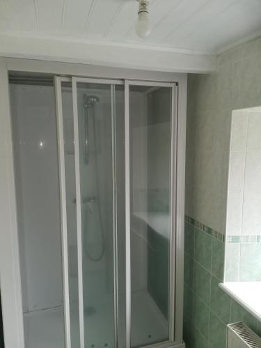 une douche avec une porte vitrée dans une salle de bain dans l'établissement le moulin mallat - 255 rue camille claudel - 43300 mazeyrat d'allier, à Mazeyrat-d'Allier