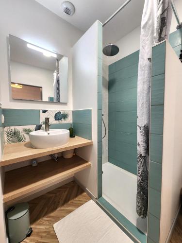 une salle de bain avec un lavabo et une douche dans l'établissement Les 2 cerfs de Marmande, à Marmande