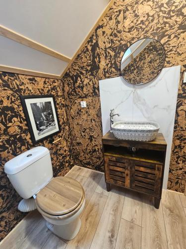 a bathroom with a toilet and a sink at Nad Potokiem z Alpakami in Stronie Śląskie