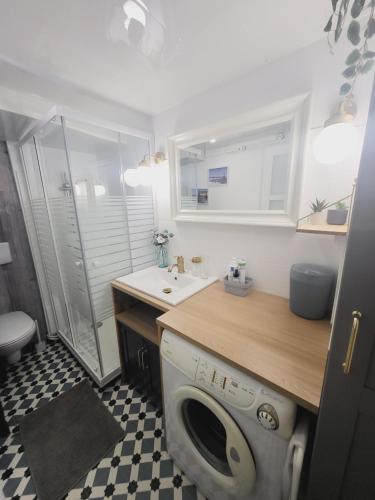 une salle de bain avec un lavabo et une machine à laver dans l'établissement Port leucate 4-6 personnes 150m de la mer, à Leucate