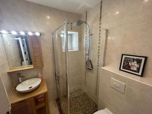 une salle de bain avec une douche, des toilettes et un lavabo dans l'établissement La petite pause - Proche Amneville Thionville Lux, à Serémange-Erzange