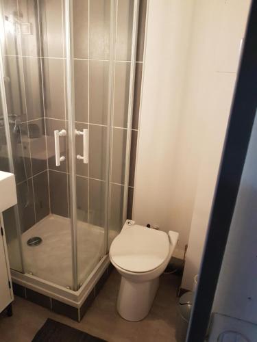 une salle de bain avec toilettes et douche dans l'établissement Studio, à Bayonne