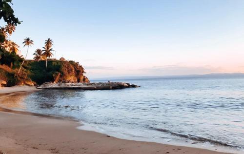 a beach with palm trees and the ocean at Paradise Retreat Peace Relaxation in Santa Bárbara de Samaná