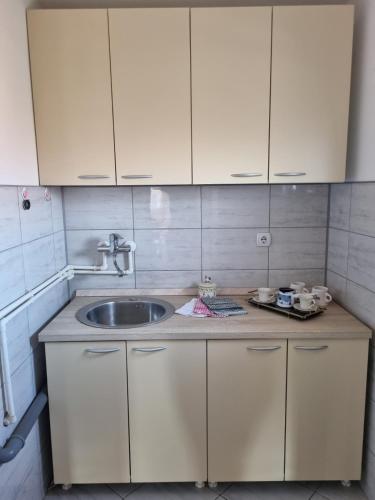 a kitchen with a sink and white cabinets at Ana LUX in Dobrosin