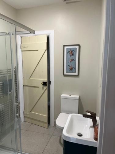 a bathroom with a shower and a toilet and a sink at Old Post Office in Linsfort