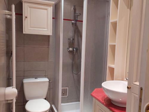 une salle de bain avec une douche, des toilettes et un lavabo dans l'établissement Studio Chamonix rénové, proche centre et télécabine, animaux admis, parking - FR-1-517-3, à Chamonix-Mont-Blanc