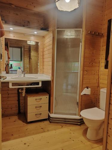 une salle de bain avec toilettes, lavabo et douche dans l'établissement Chalet en Eyne Cambre d'Aze, à Eyne