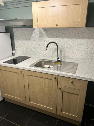 une cuisine avec un évier et un plan de travail dans l'établissement SPA hyper centre jardin, à Boulogne-sur-Mer