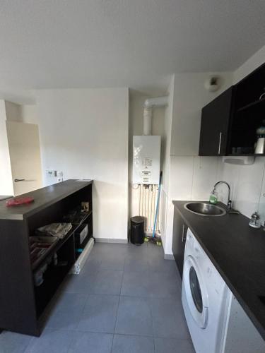 une cuisine avec un évier et une machine à laver dans l'établissement Appartement aucamville T2 avec jardin, à Aucamville