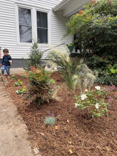 a little boy standing in front of a garden at Walk To Duke Campus! 3 Bedroom In Trinity Park! in Durham