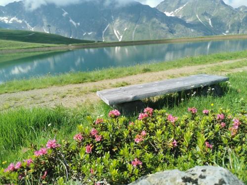 a bench sitting next to a lake with flowers at Apartment Christl in Sankt Jakob in Defereggen