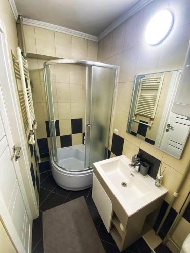 un baño con ducha y lavabo en Lovely Apartment in Chisinau, en Chişinău