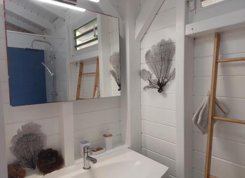a bathroom with a sink and a mirror at Love Lodge Guadeloupe - Love Room Romantique Saint Francois in Saint-François
