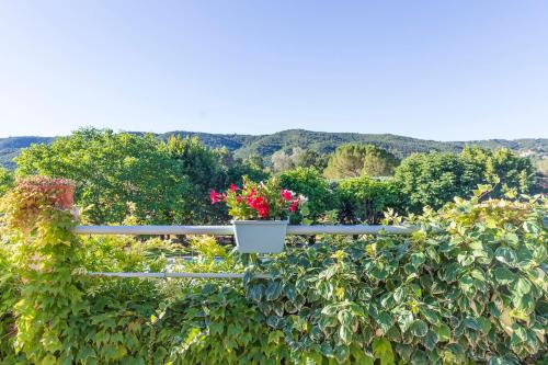 Φυσικό τοπίο κοντά σε αυτό το bed & breakfast