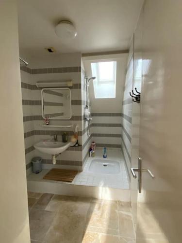 une salle de bain avec un lavabo, une douche et des toilettes dans l'établissement Maison d architecte, à Samois-sur-Seine