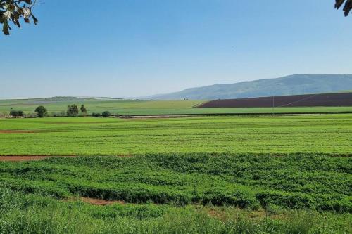 a field of green grass with mountains in the background at וילה במושב בנוף מושלם כל השנה in Moledet