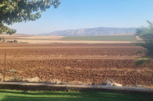 a dirt field with a palm tree in the foreground at וילה במושב בנוף מושלם כל השנה in Moledet