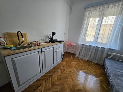 Dapur atau dapur kecil di Casa Raduly