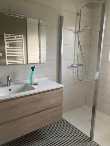 La salle de bains est pourvue d'une douche et d'un lavabo. dans l'établissement La maison de Marie, à Argelès-Gazost