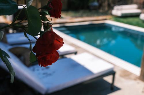 - une fleur rouge à côté d'une piscine dans l'établissement Marc VEYRAT, à Megève