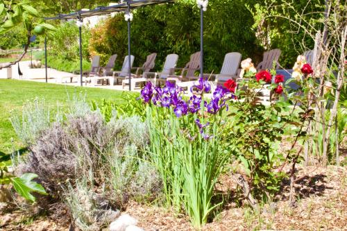 Κήπος έξω από το La Bastide des Roses