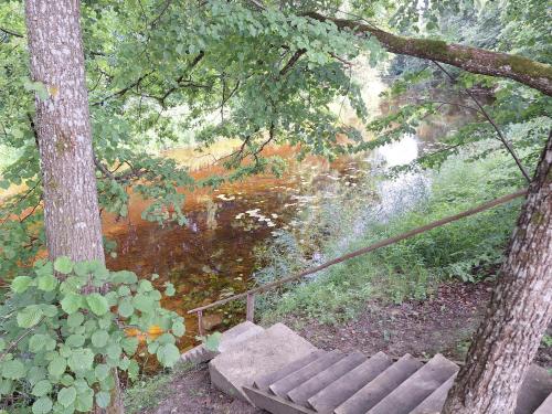 a bench sitting under a tree next to a pond at Toma pirts BRĪVDIENU in Ikšķile