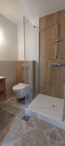 a bathroom with a glass shower with a toilet at Na Górce 13 in Polańczyk