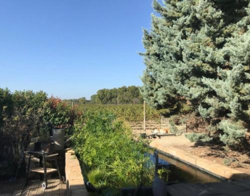 Elle offre une vue sur un jardin avec une table et un arbre. dans l'établissement Chambre à la ferme, à Orange