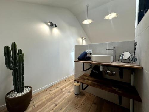 La salle de bains est pourvue d'un lavabo et d'un cactus. dans l'établissement Gare Unique Duplex lumineux, à Amiens