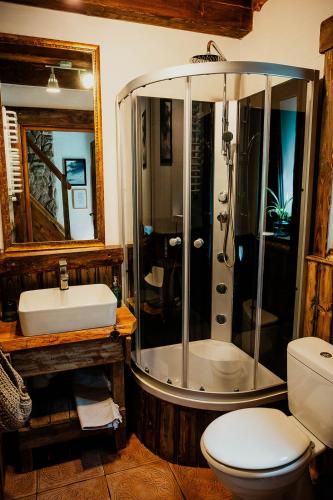 a bathroom with a shower and a toilet and a sink at Domek Przyjacielówka Miejsce Ciszy Czarna Góra Sienna Janowa Góra in Stronie Śląskie