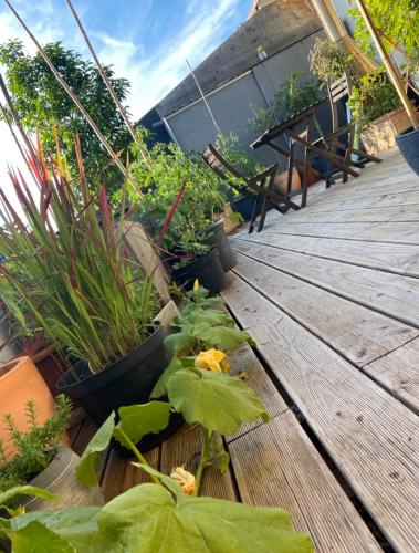 a bunch of plants on a wooden deck at Limmatspitz - private room - shared apartment in Gebenstorf