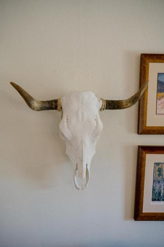 a skull of a bull with horns hanging on a wall at Tesuque Outpost Casita F Best views in Santa Fe in Santa Fe
