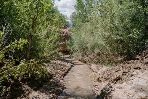 a dirt trail through a forest with trees at Tesuque Outpost Casita F Best views in Santa Fe in Santa Fe