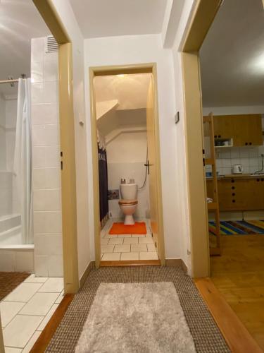 a bathroom with a tub and a toilet in a room at Samostatný apartmán se zahradou in Bedřichov