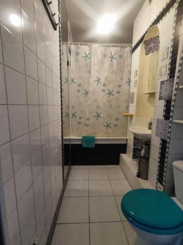 La salle de bains est pourvue d'une douche et de toilettes bleues. dans l'établissement Facile d'accès et entretenu par femme de ménage, à Paris