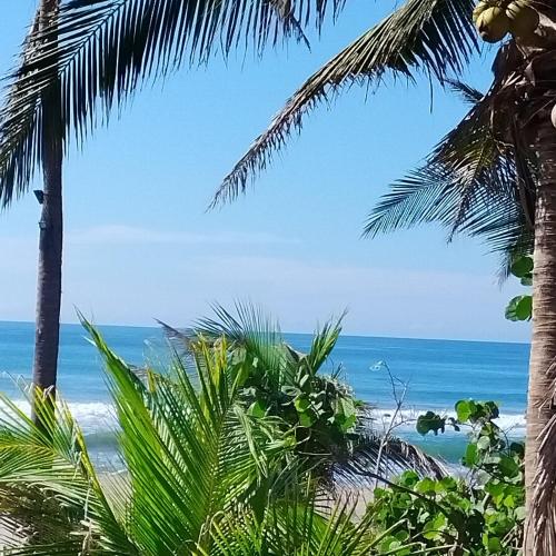 a view of the ocean from a beach with palm trees at QUINTA DIAMANTE villas&hotel in Barra Vieja