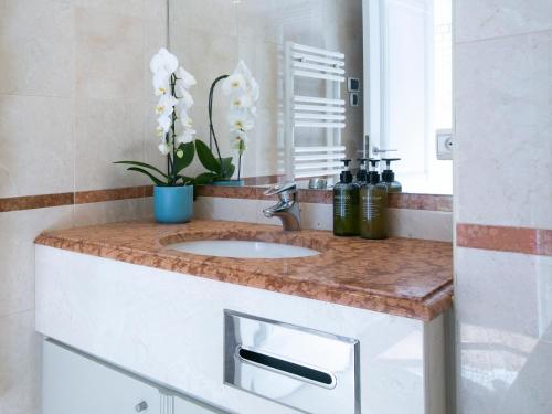 un comptoir de salle de bain avec un lavabo et un miroir dans l'établissement Magnificient 2 Bedrooms with terrace next to champs-elysées - PC62B, à Paris