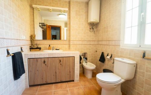 a bathroom with a toilet and a sink and a mirror at H&H Suite Abrazo de Granada in Granada