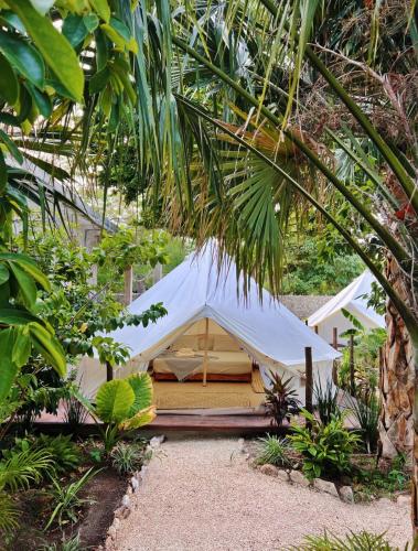 a tent in the middle of a garden with trees at Shamalay - Nomad Experience in Bacalar