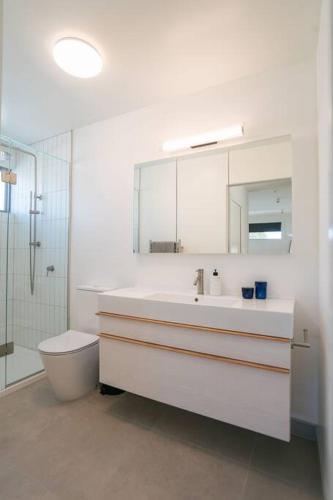 a bathroom with a sink and a toilet and a mirror at Abodo Alpine Eco Villa Spa in Cardrona