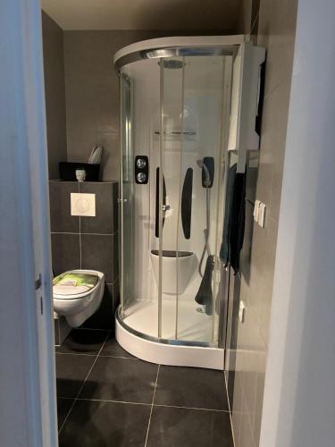 La salle de bains est pourvue d'une douche en verre et de toilettes. dans l'établissement Appartement centre ville cannes, à Cannes