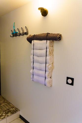 a group of towels hanging on a wall in a bathroom at T3 A l'Ombre des Palmiers - Terrasse Jardin & Barbecue - Proche Aéroport in Sainte-Marie