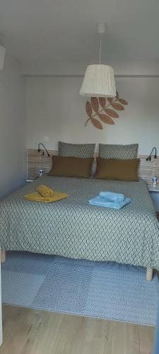 une chambre avec un lit avec un plateau dessus dans l'établissement Du Côté de Chez Paule, chambre avec entrée indépendante et salle d'eau privative, à Séméac