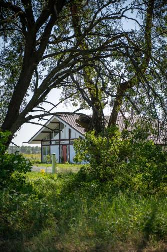 a house in the middle of a field with trees at Парк природи Беремицьке та Парк-готель Лісове Озеро in Beremytske
