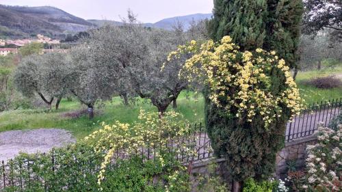 a garden with trees and yellow flowers on a fence at Villa Salviati in Prato