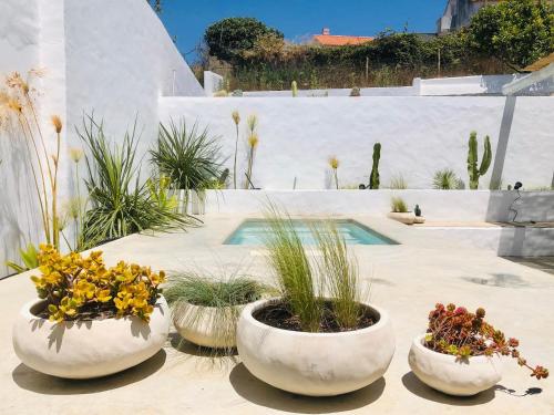 Giardino di Casa Sul - Casas de Seixe