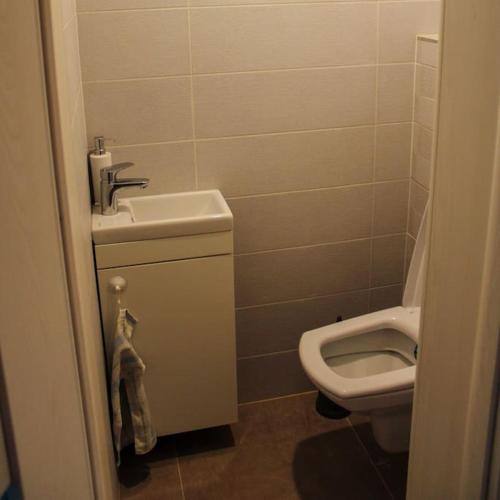 a small bathroom with a sink and a toilet at Zöld Liget Apartman House in Odorheiu Secuiesc