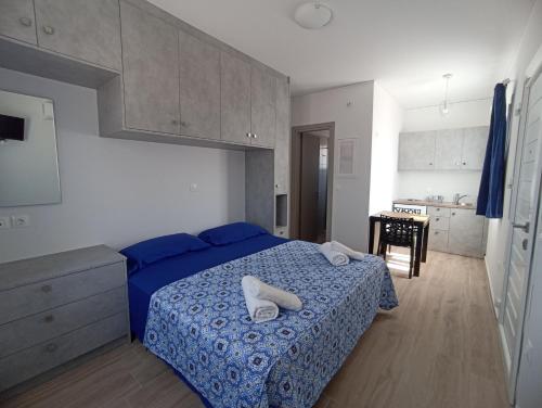 Agria Rigani Studios