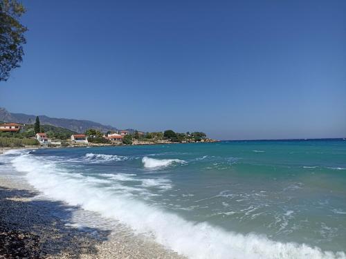 a beach with some waves in the water at Agria Rigani Studios in Samos