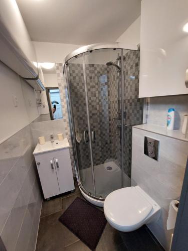 Kúpeľňa v ubytovaní Vízparti gyermekbarát teljesen felújított Apartman, őrzött, saját strand, parkoló, étterem